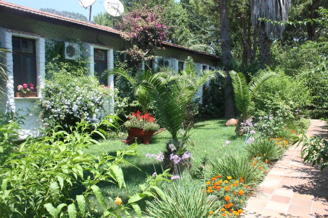 Hotel Happy Caretta - Ferienwohnung