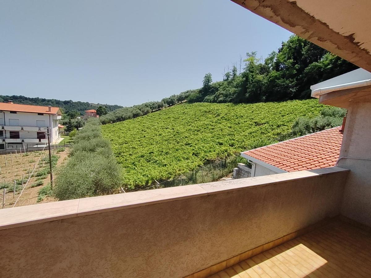Camera King con Vista Giardino