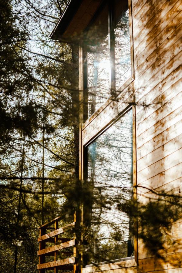 Wood Land Liswarta domki w drzewach - Chambres d’hôtes Popów