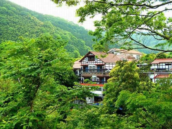 Shirakabeso - B&B