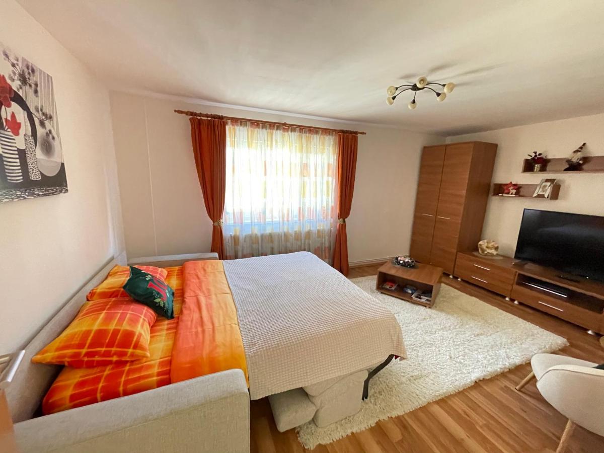 Appartamento con 1 Camera da Letto