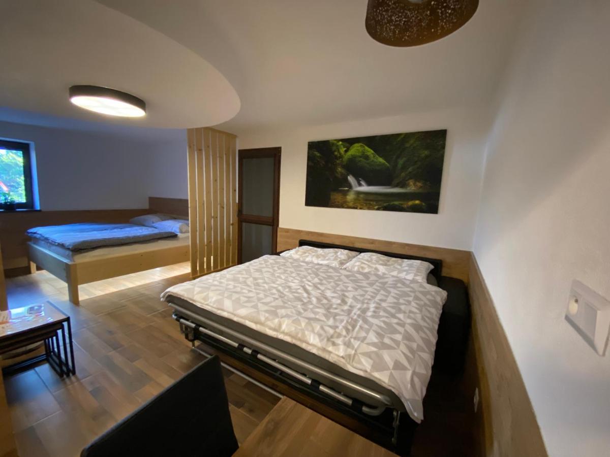 Appartement 1 Chambre