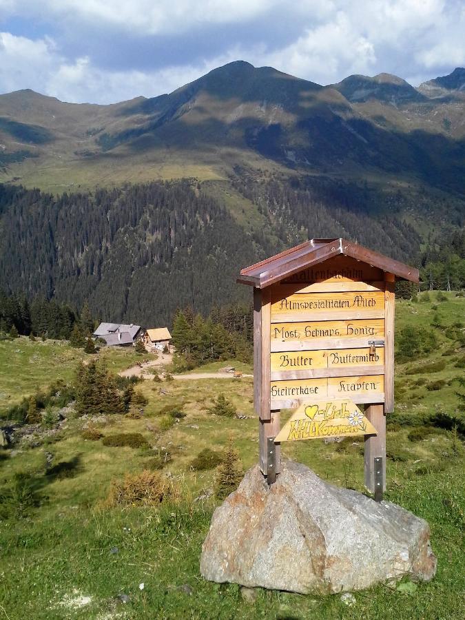 Appartement Berndlhof Mitterberg - Gröbming - Schladming - Chambres d’hôtes Gersdorf