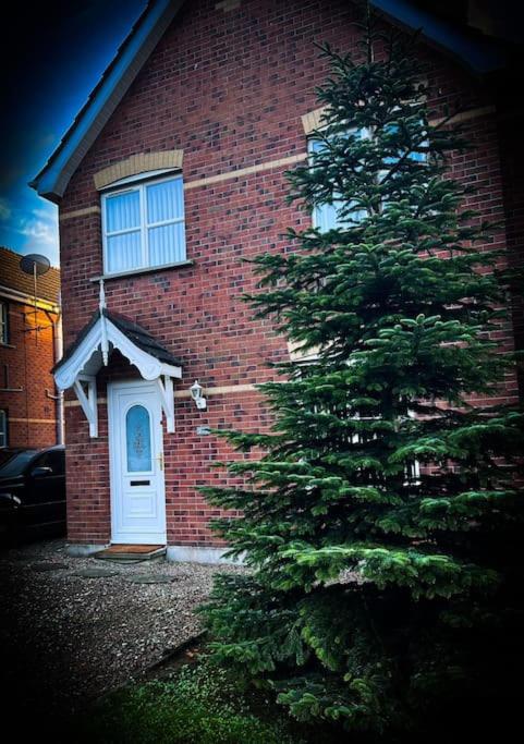 The Tree House - B&B