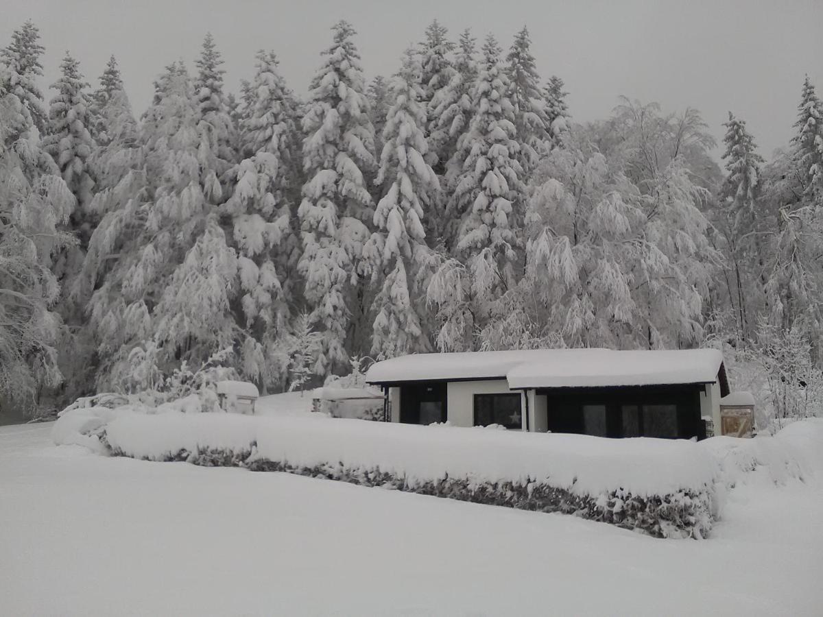 Ferienhaus Waldidyll - B&B Langfurth