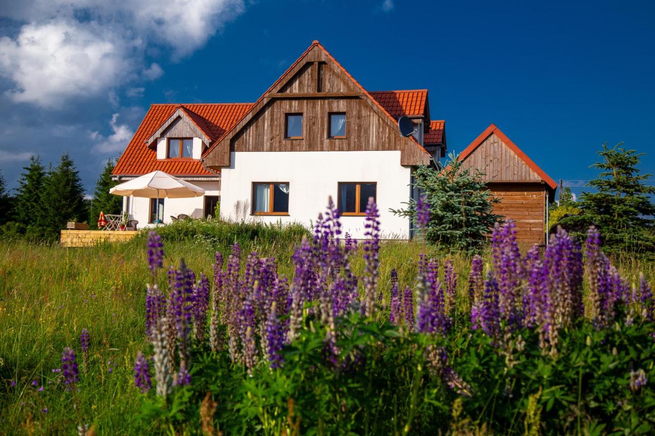 Przystanek Lasówka - B&B Lasówka