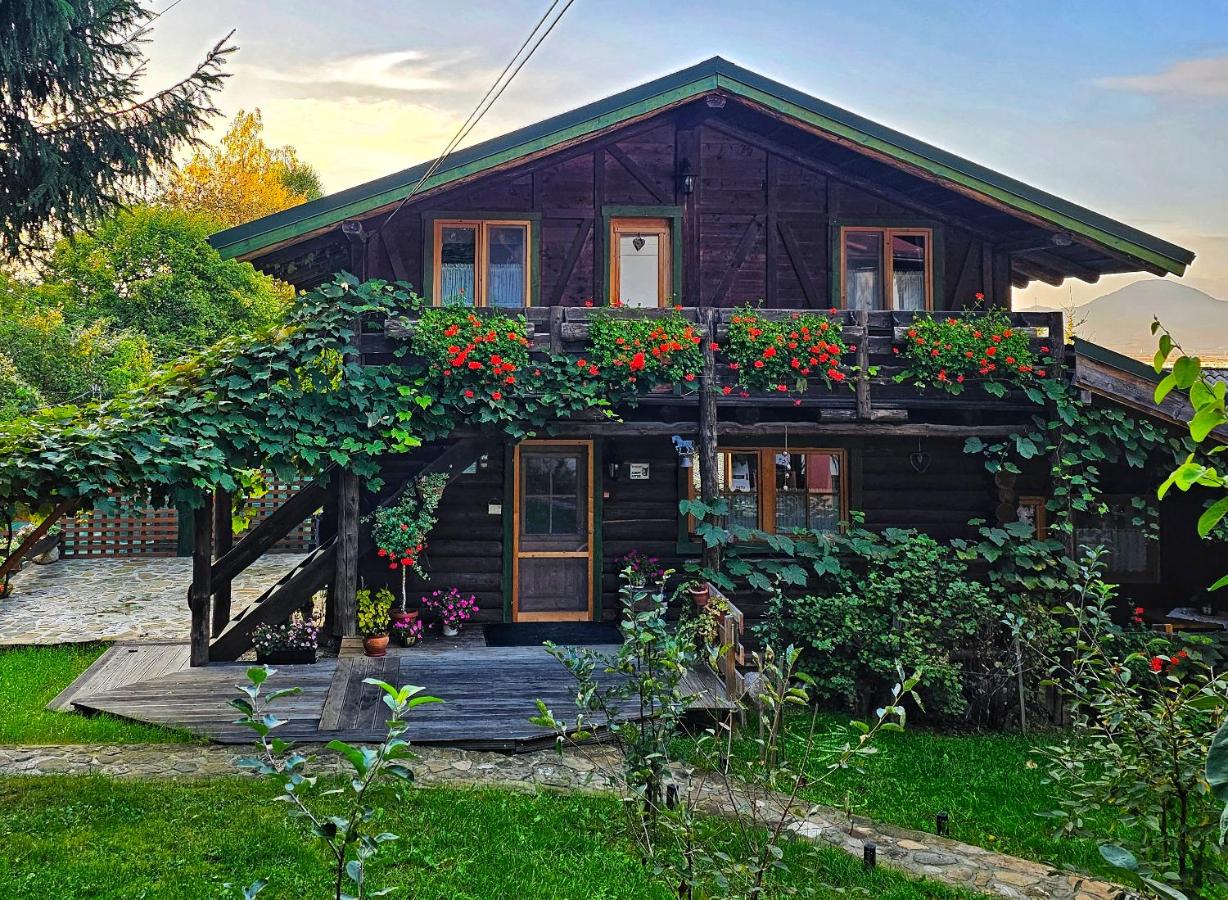 B&B Râşnov - Cabana Bendis - Bed and Breakfast Râşnov