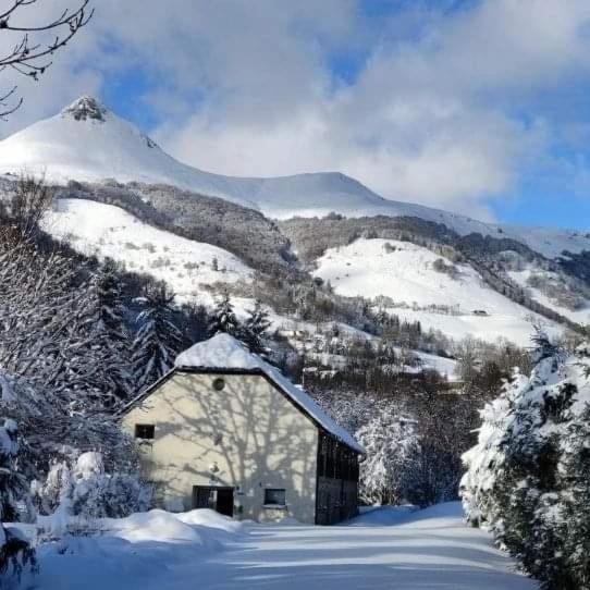 Appartamento con Vista Montagna