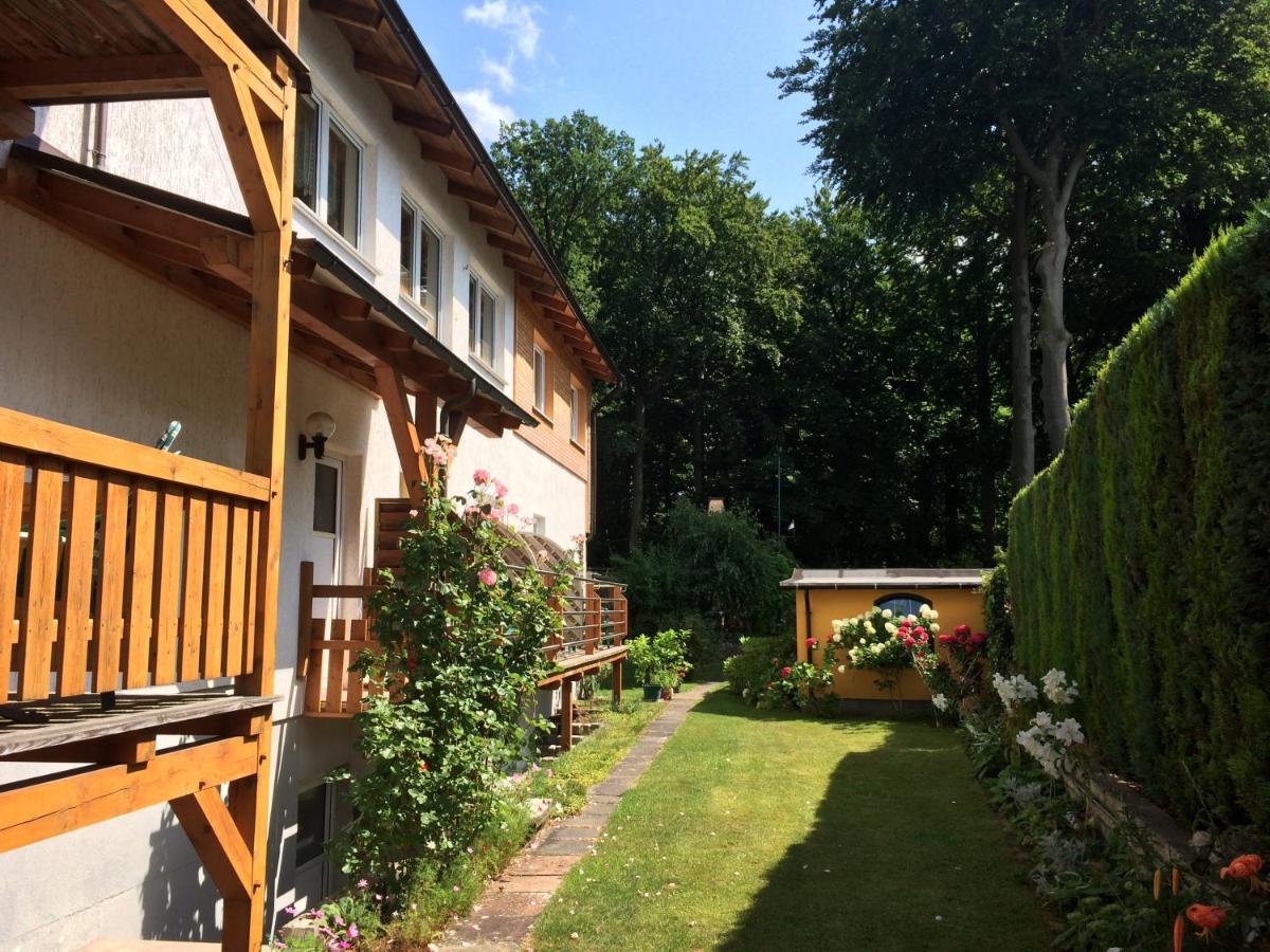 Pension Buchfink - B&B