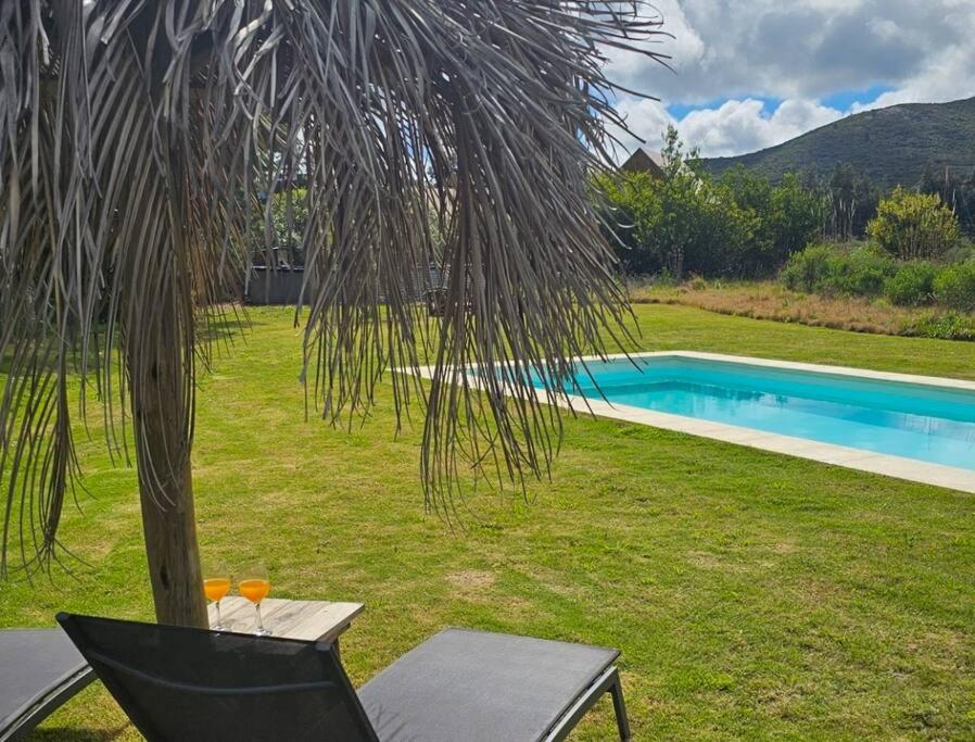 Experiencia única : Paz y naturaleza - B&B Punta Colorada