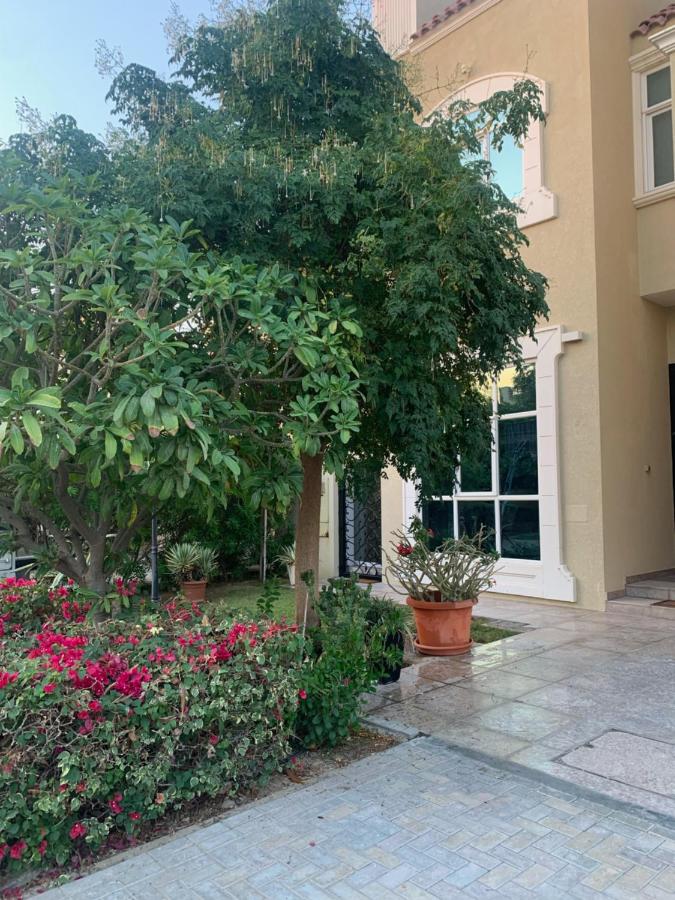 silent apartment cozy and fully furnished - B&B