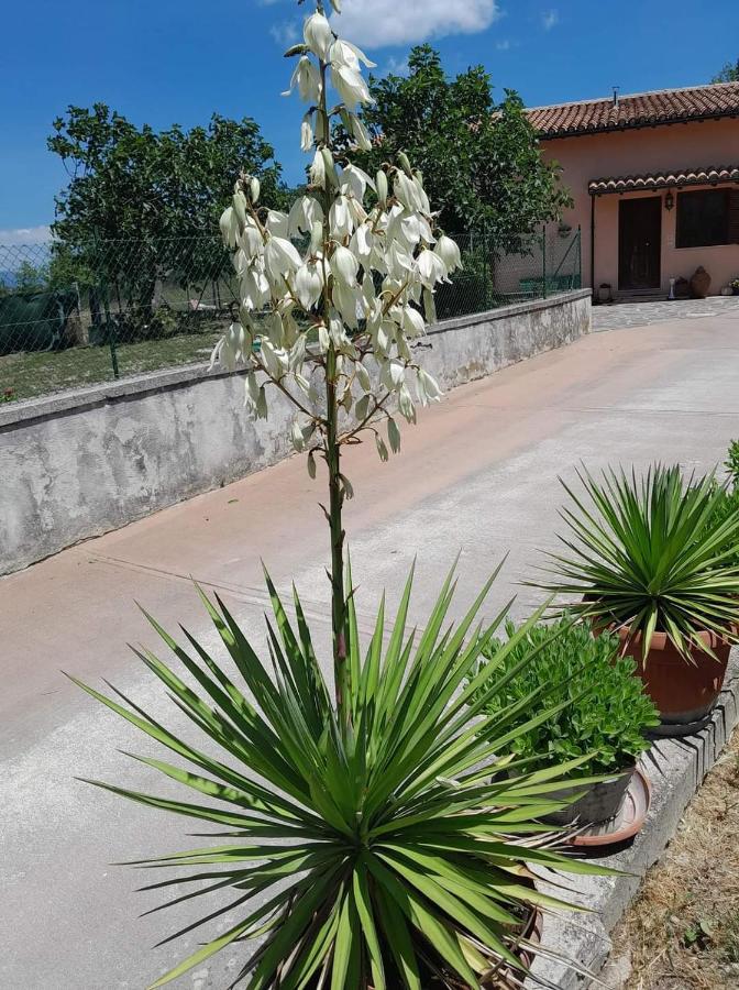 Villa Fiore - Chambres d’hôtes