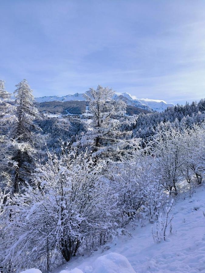 Résidence Le Rami Les Coches - La Plagne - Ferienwohnung La Plagne Tarentaise