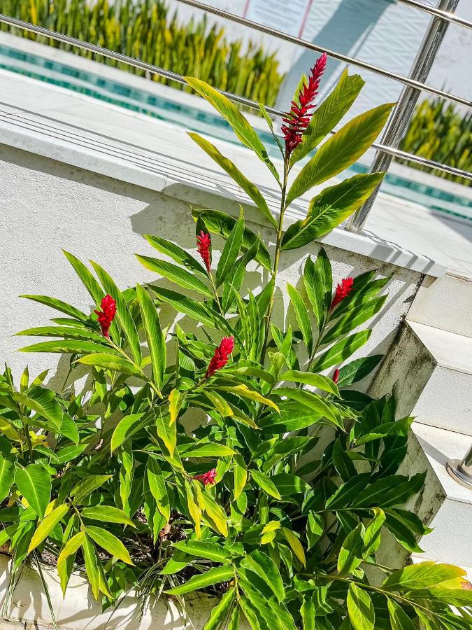 Apto Térreo com 2 quartos (ambos com ar split), sendo 1 suíte, internet privativa 300MBPS, no Residencial Vila Regina, condominio com piscina e área gourmet bem próximo a praia de Taperapuã - B&B