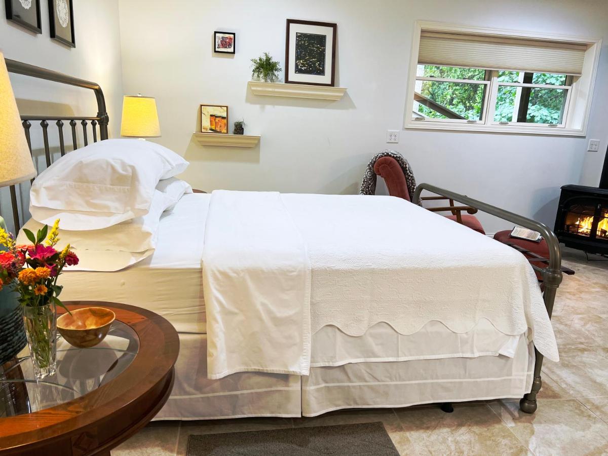 Robins Nest 10 min to Asheville Biltmore bkfst hot tub fireplace sparkling water - B&B Asheville