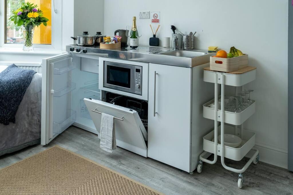 A Bright Lovely Spacious Studio. - B&B Woodford Green