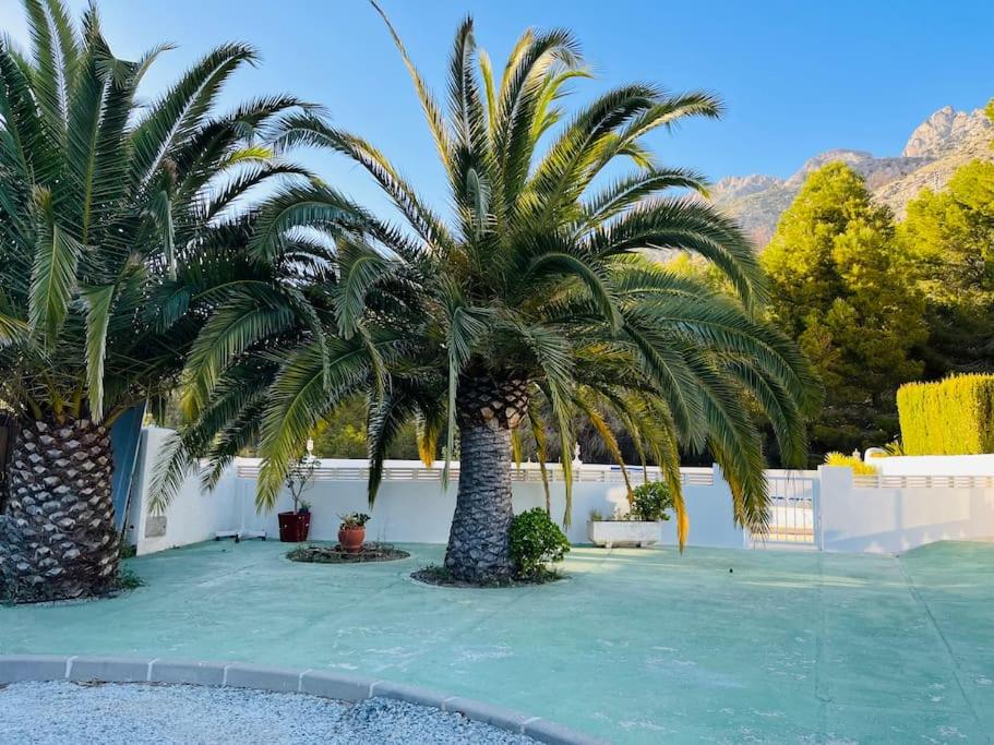 Peace and nature Altea La Vella - B&B