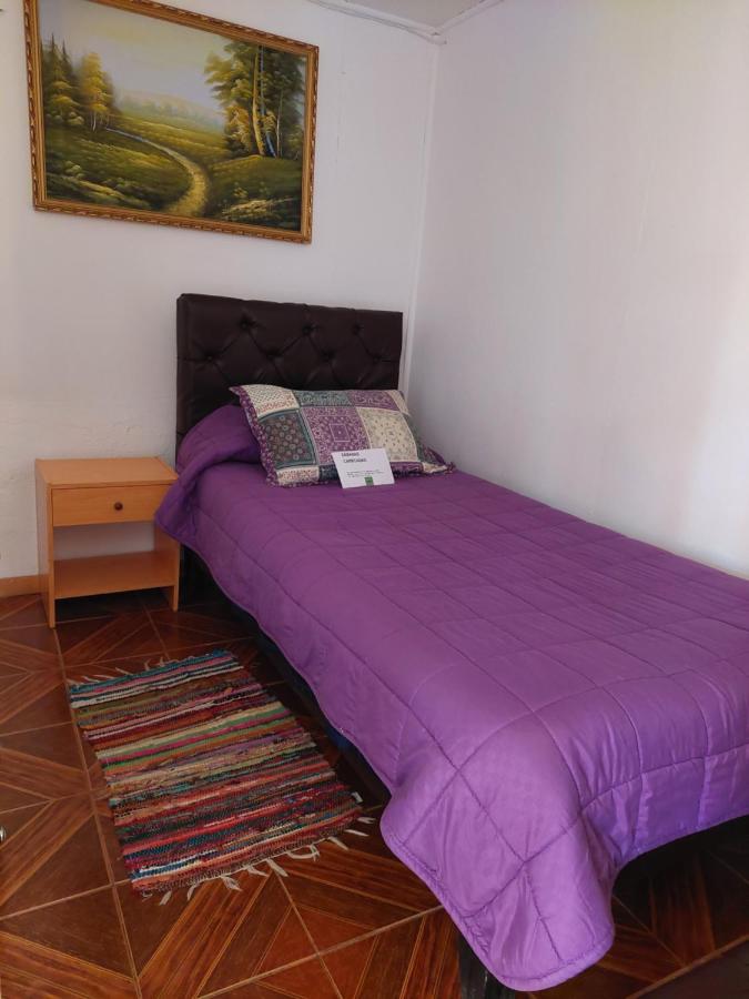 Apartamento de 2 dormitorios