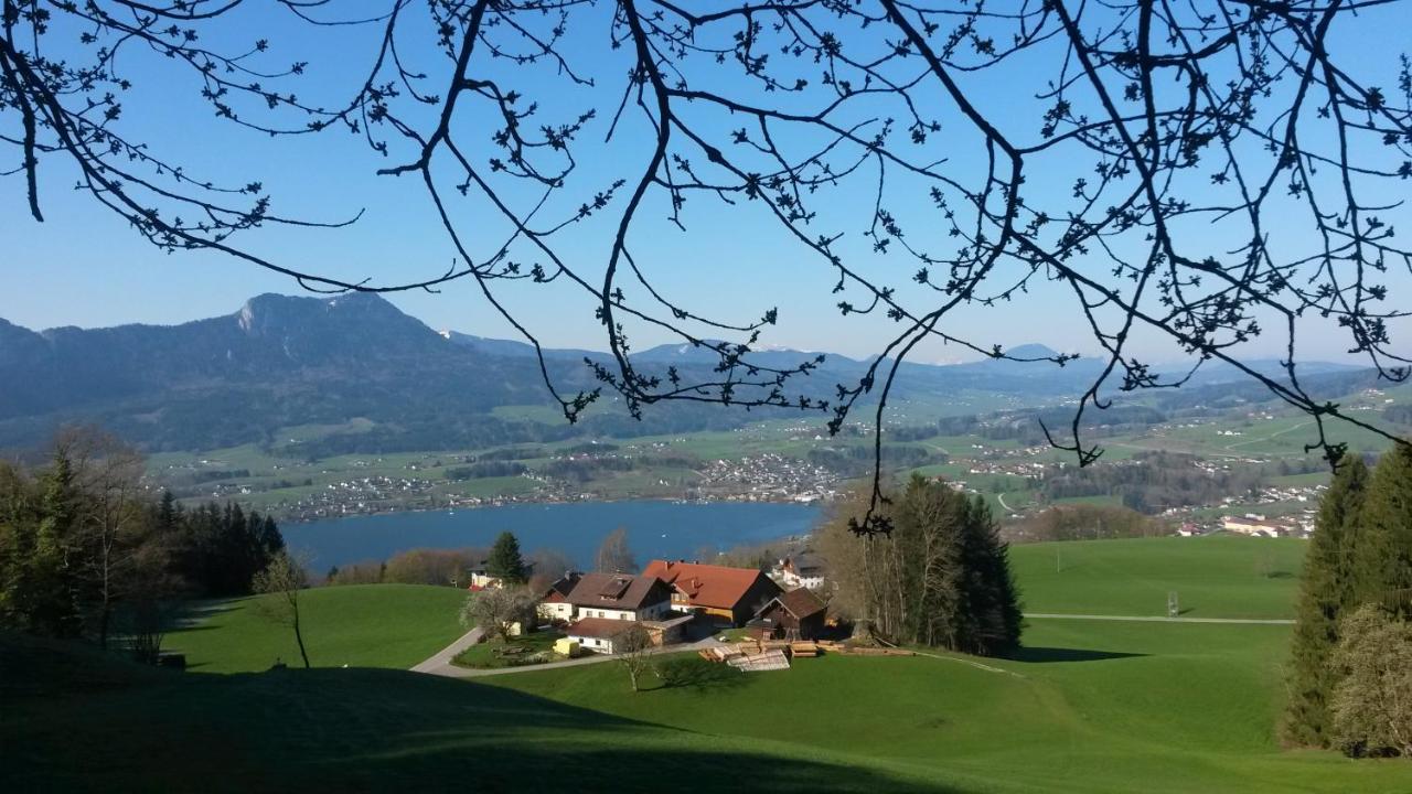 B&B Mondsee - Bio Gesundheitshof Daxinger - Bed and Breakfast Mondsee