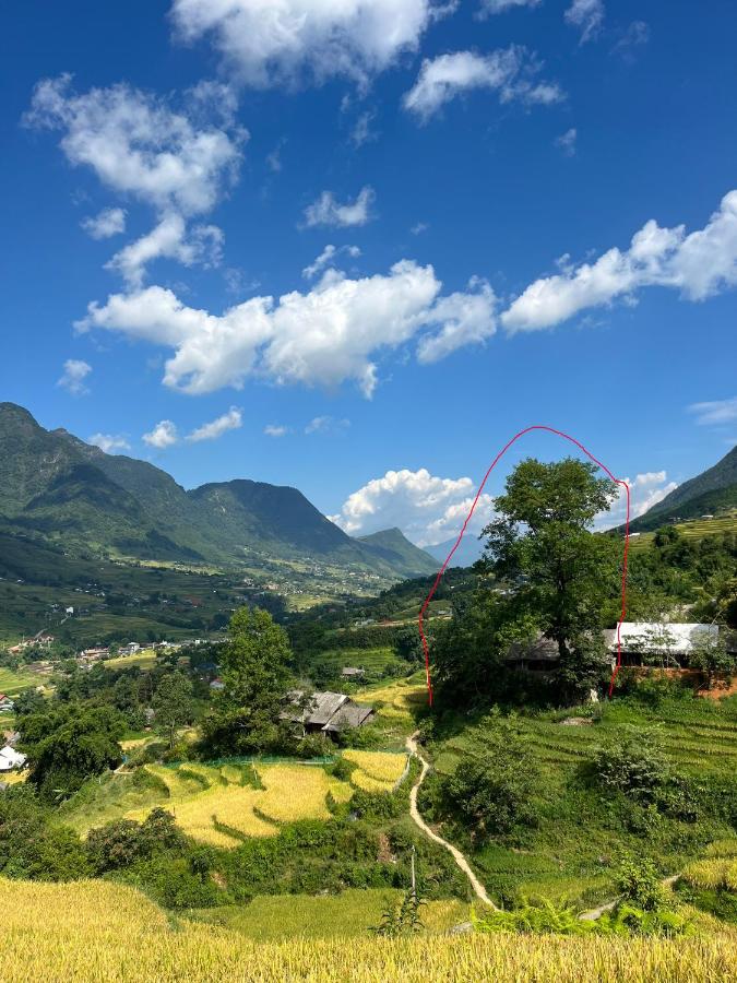 SaPa Big Tree Hmong Homestay - B&B