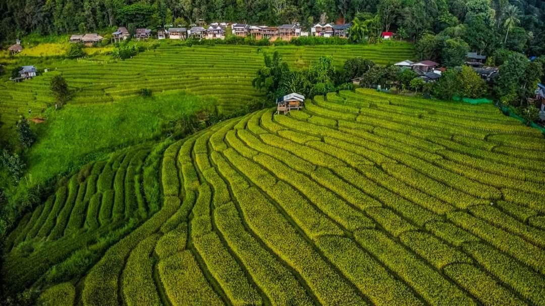 บ้านพักชิปู ป่าบงเปียง - Bed and Breakfast