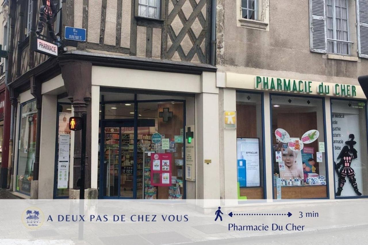 Le Savana - Rénové & Centre-ville - B&B