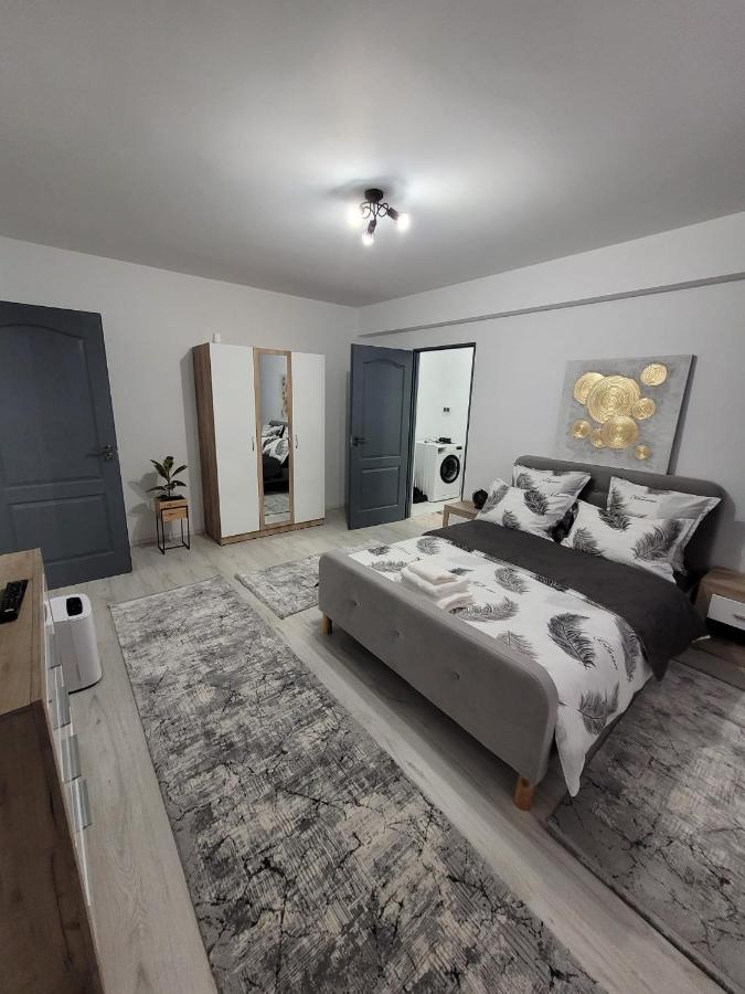 Apartament cu 1 camera -ANA - B&B