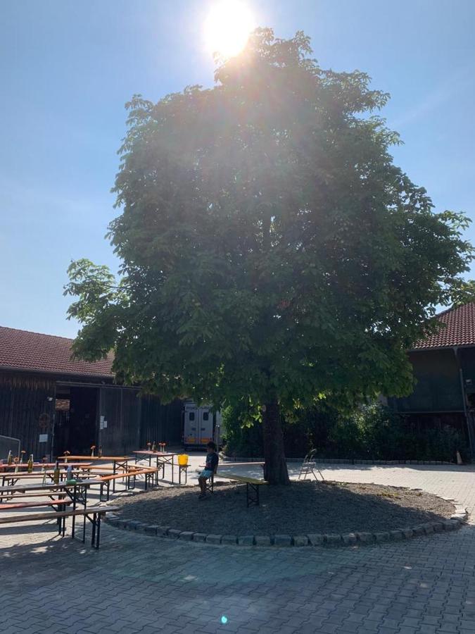 Reitschule Kronwitter - B&B