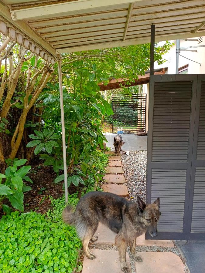 33 on Smuts Selborne - B&B East London