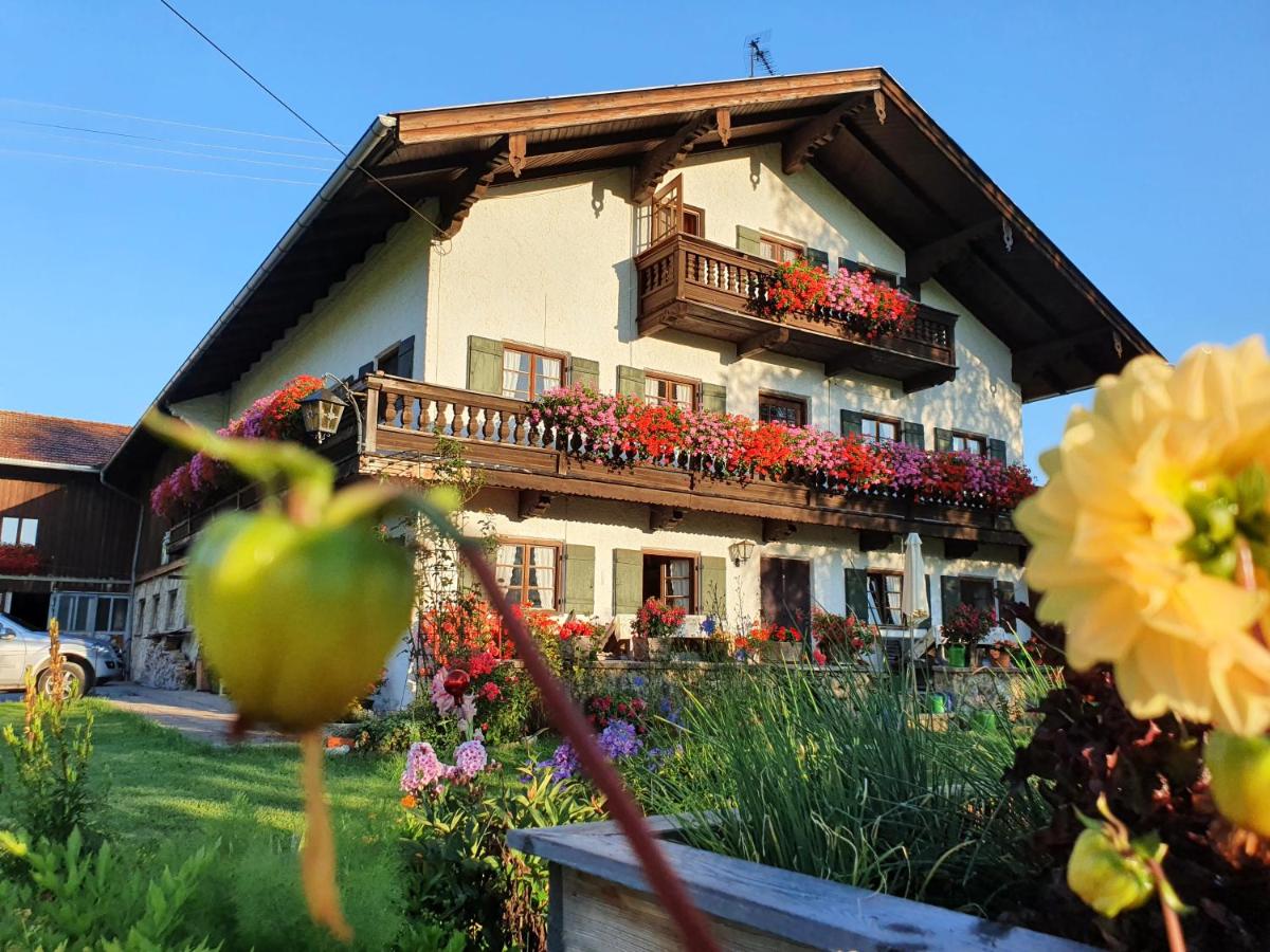 Schneiderhof Ferienwohnung mit Alpenblick - Bed and Breakfast