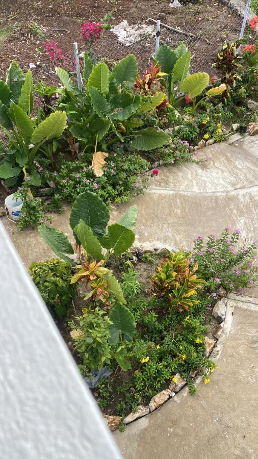 Cool Breeze Suites - Chambres d’hôtes Ashton