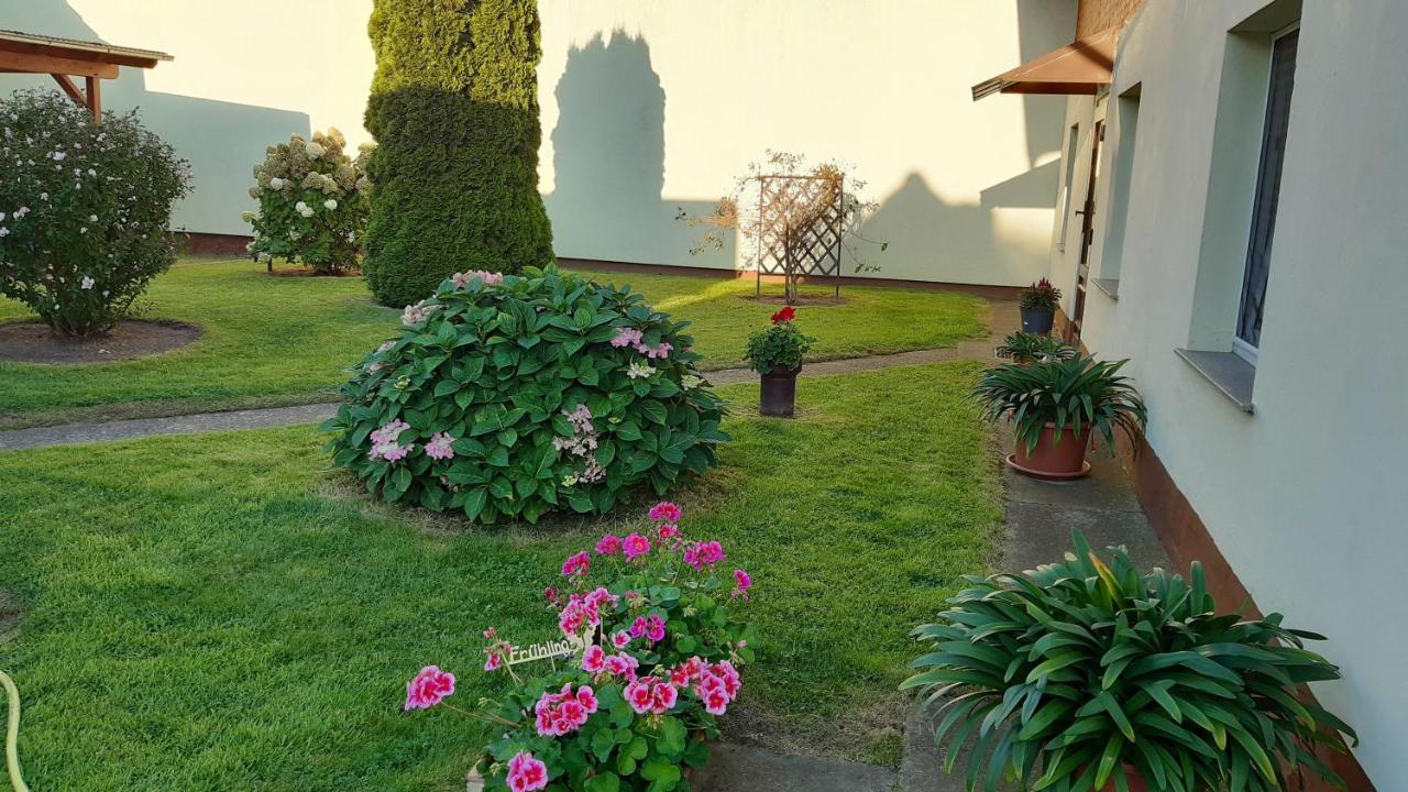 Ferienwohnungen Peters - Ferienwohnung Korswandt
