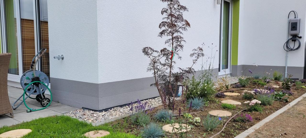 Ein Haus zum Träumen - Ferienwohnung