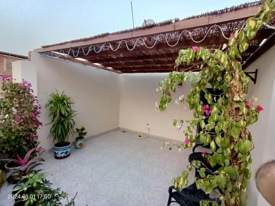 Lovely & Calm Rooftop in Maadi 5 min from the Nile - Chambres d’hôtes
