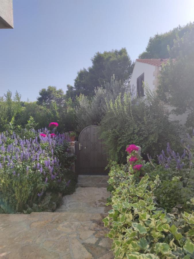 Vacation house Milka - Bed and Breakfast Milna