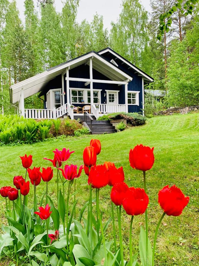 Blueberry Villa at Saimaa Lakeside - Bed and Breakfast Taipalsaari
