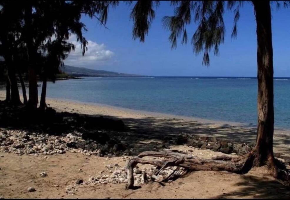 Ti Tropikal - Lagon - B&B
