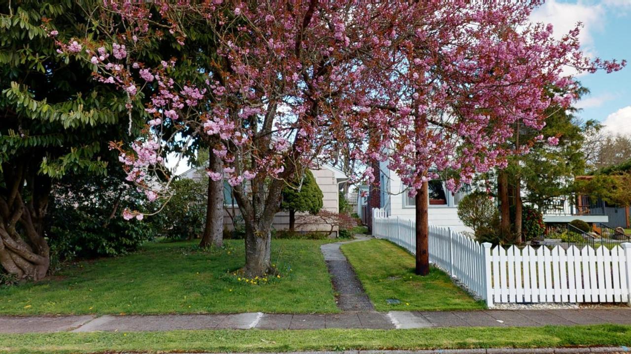 Hazel's Hideaway apt in walkable historic area - B&B