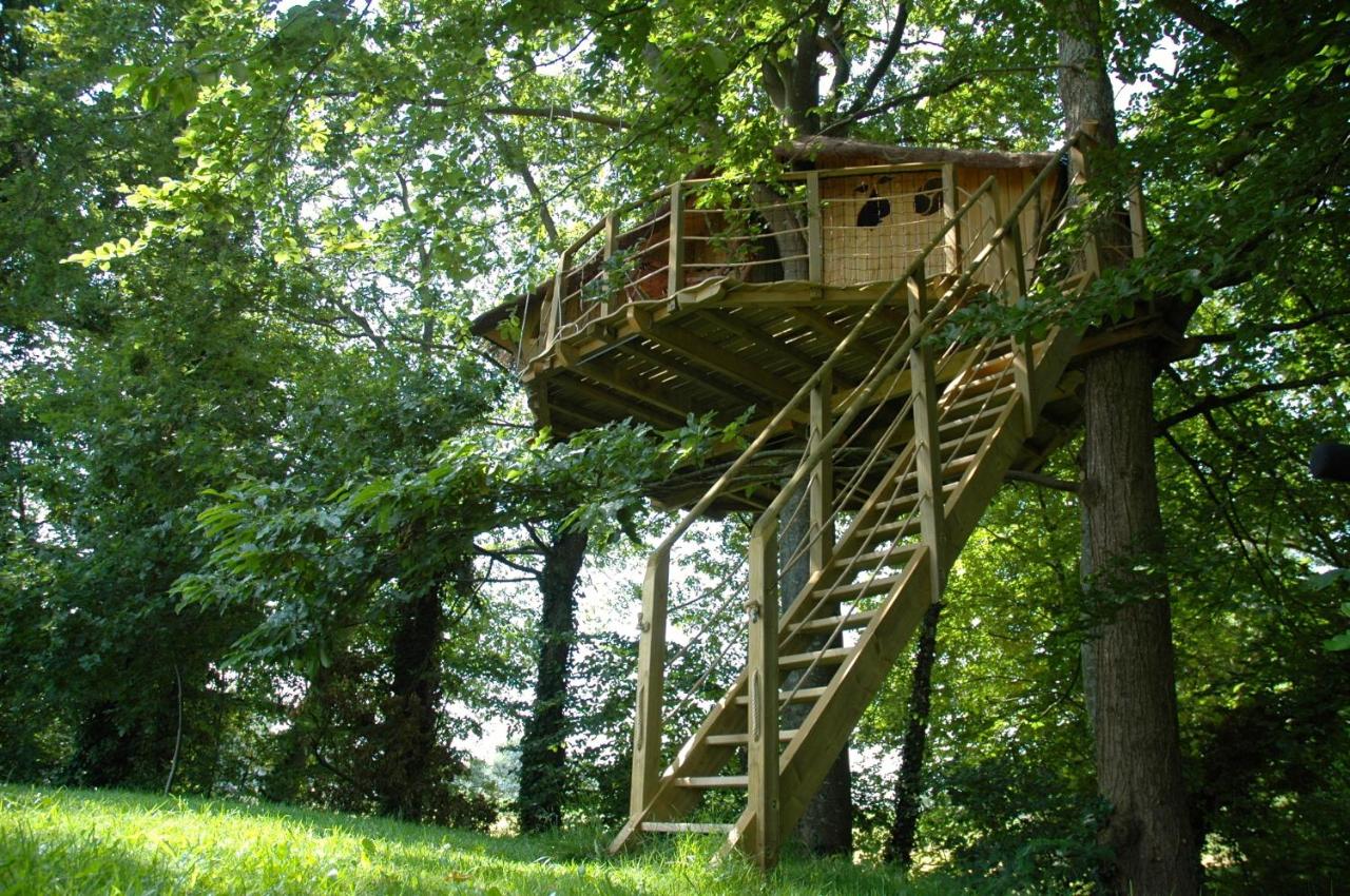 Triple Tree House