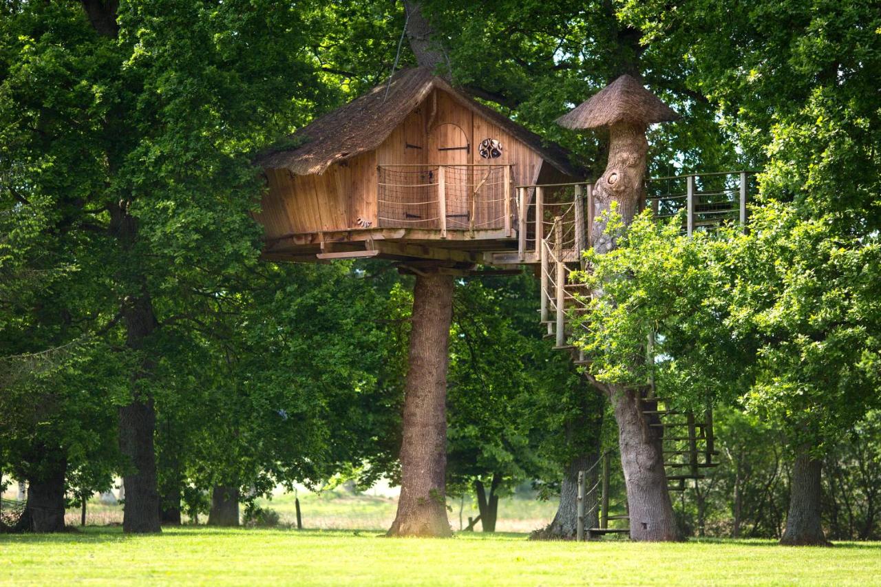 Cabane Familiale dans les Arbres