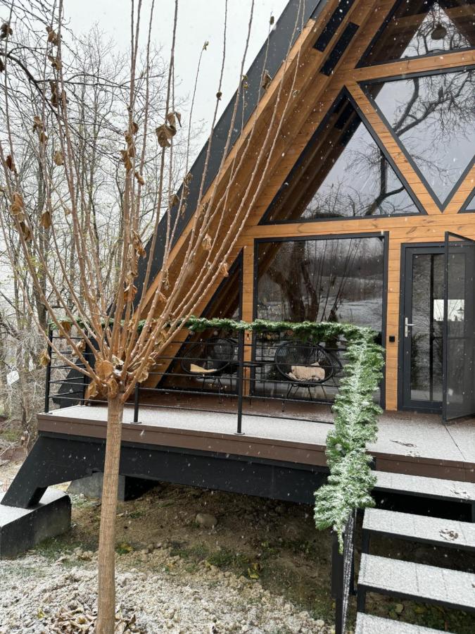 Cervus Magura - B&B Măgura