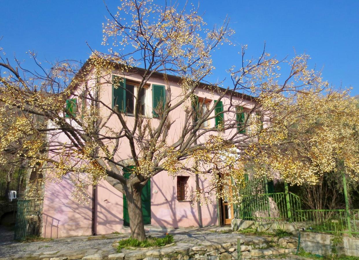 Borgata Castello - B&B