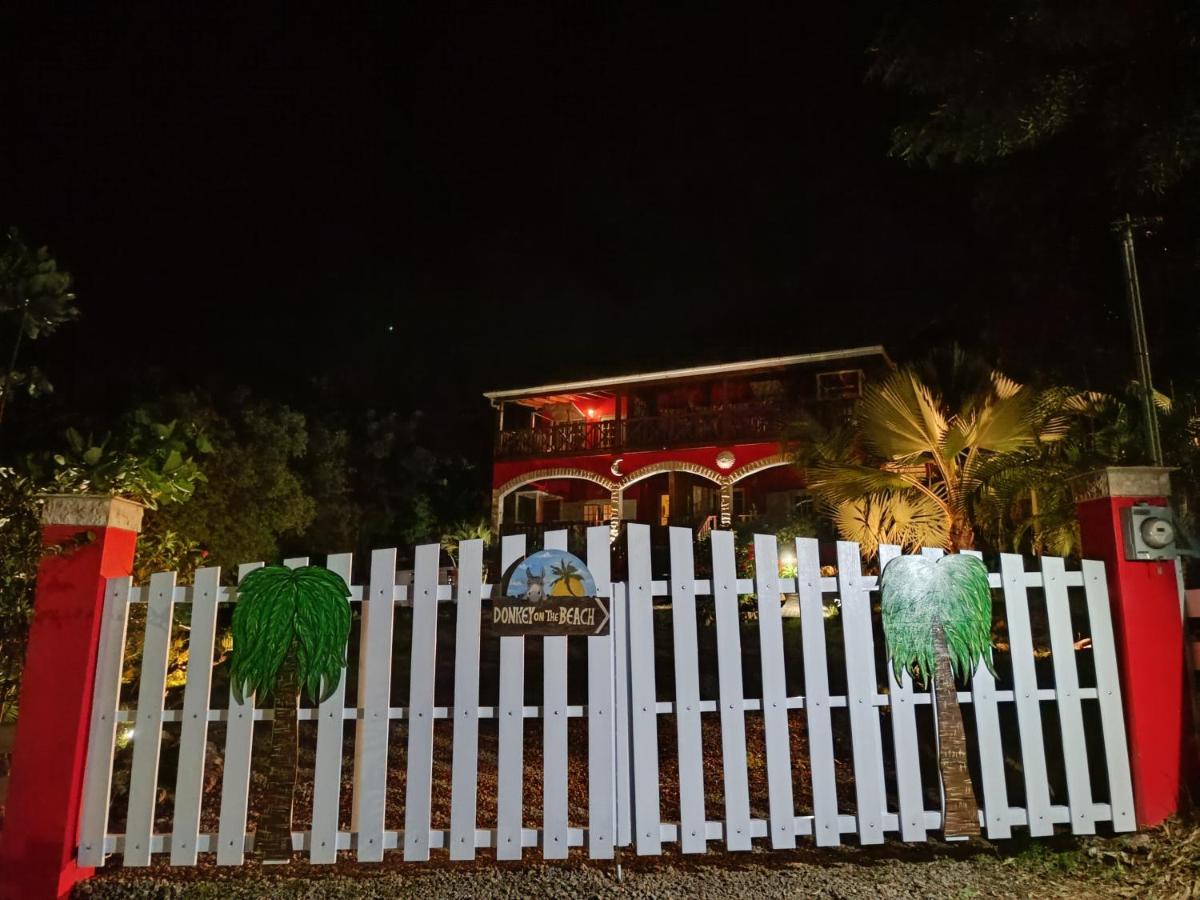 Donkey on the Beach - B&B Cobbs Cross