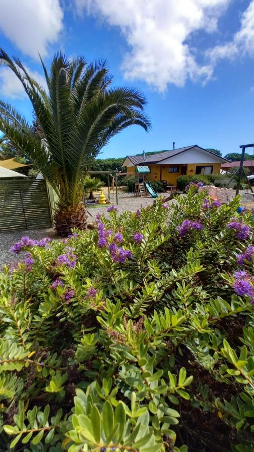 Departamentos y Cabañas Il Bosco - B&B Algarrobo