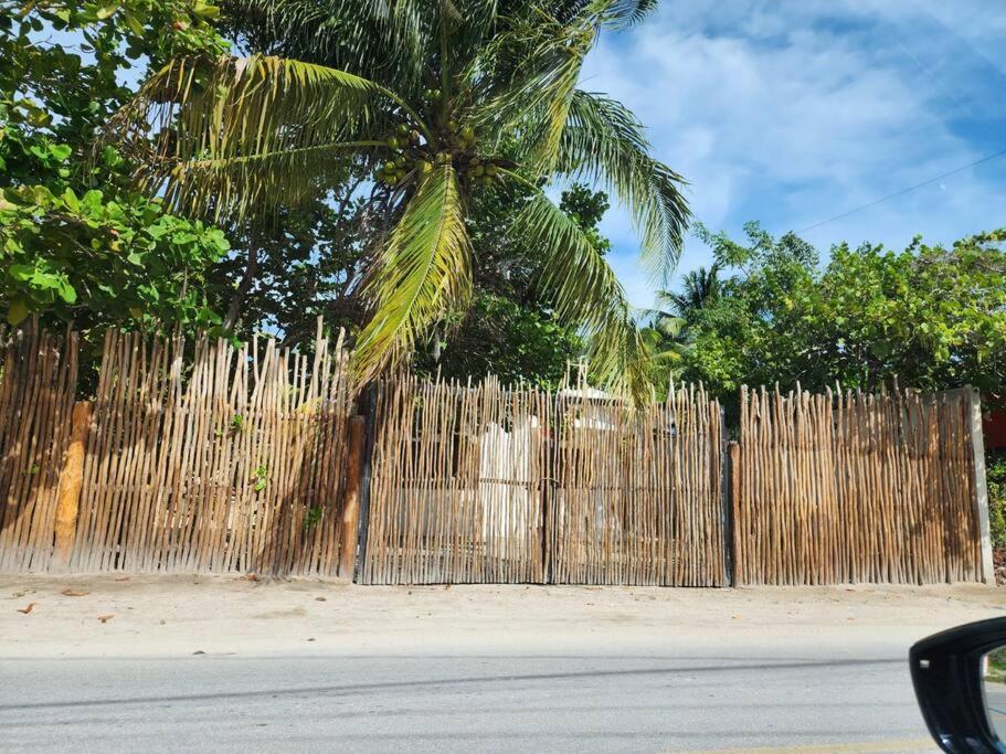 Casa ALBU Telchac Puerto de Abrigo - B&B Telchac Puerto