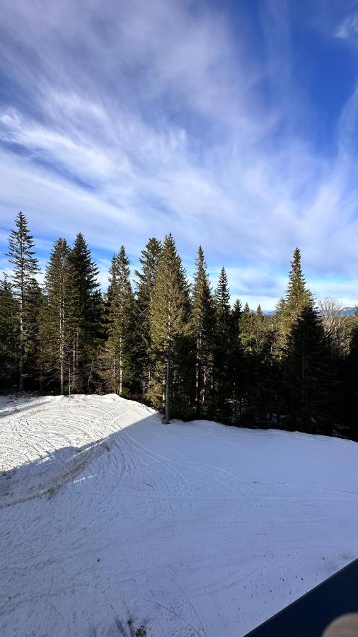 Zlatni Javor 207 Jahorina - B&B Jahorina