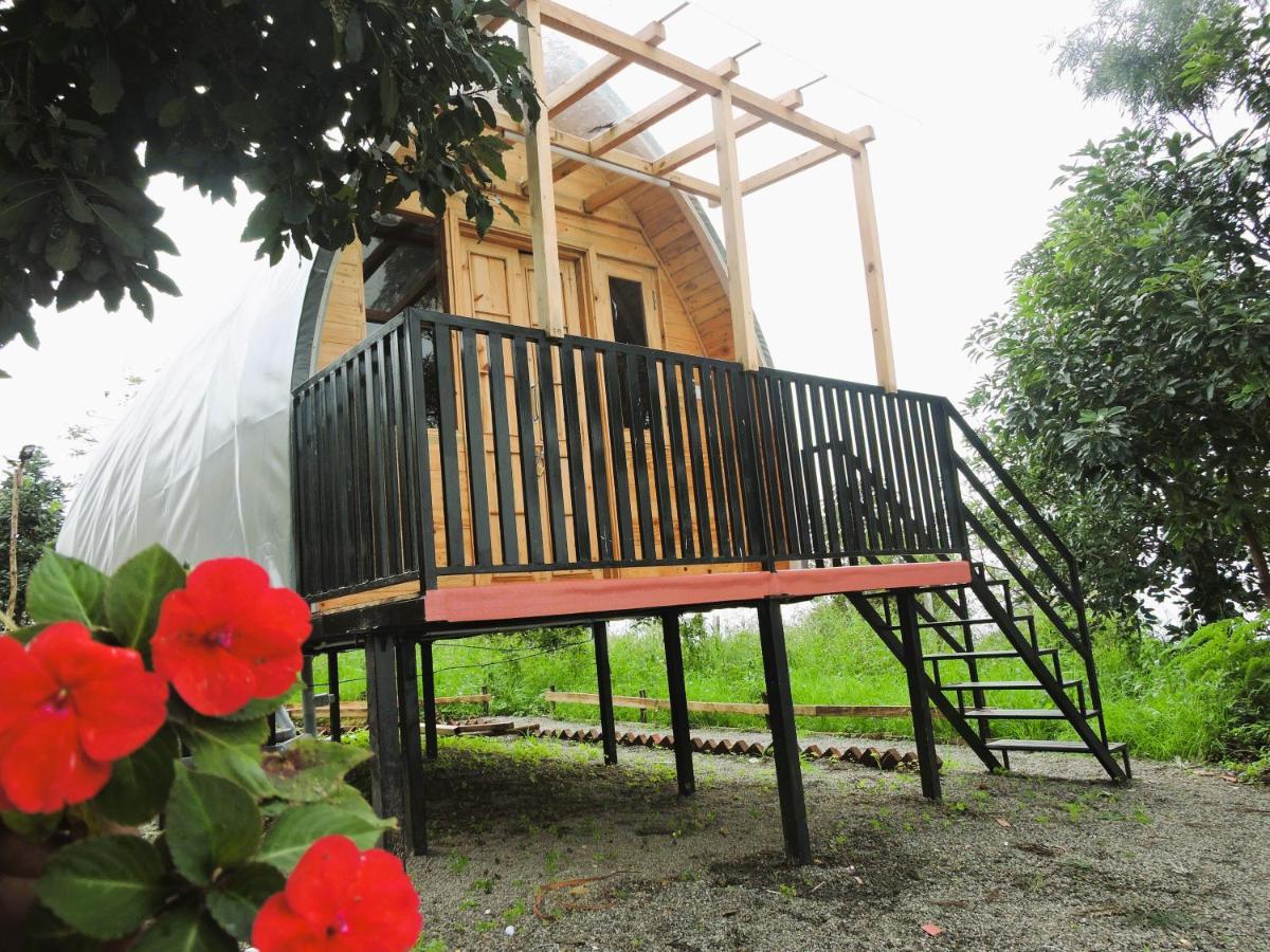 Royal Adventures - B&B Kodaikānāl