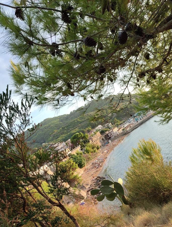 Camera Libeccio - B&B