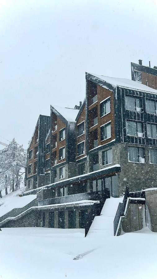 Appartement 1 Chambre