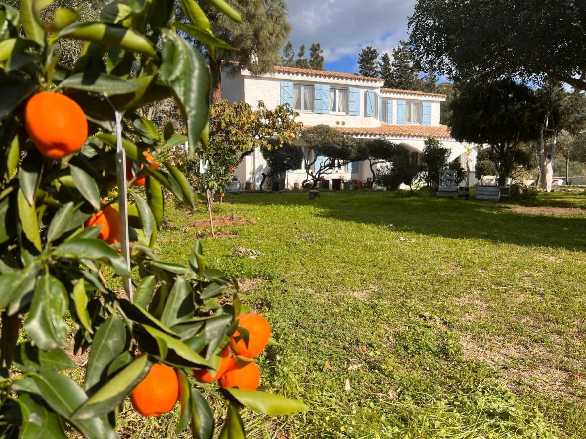 Villa Silmar - B&B